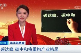 碳達峰、碳中和，將重新定義經濟版圖！